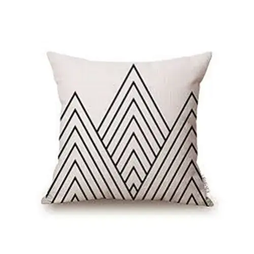 Cushion Cover image 3